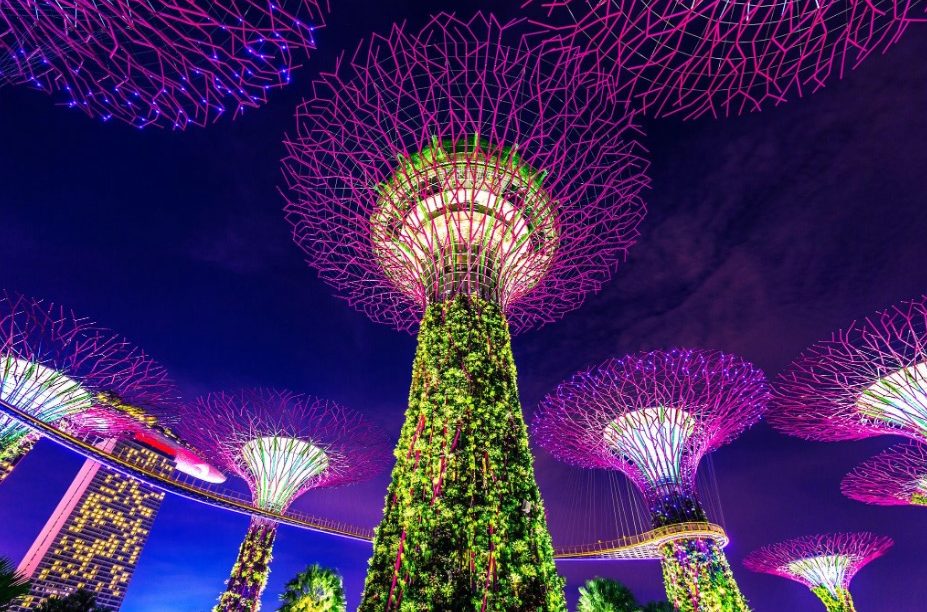 super tree gardens by the bay